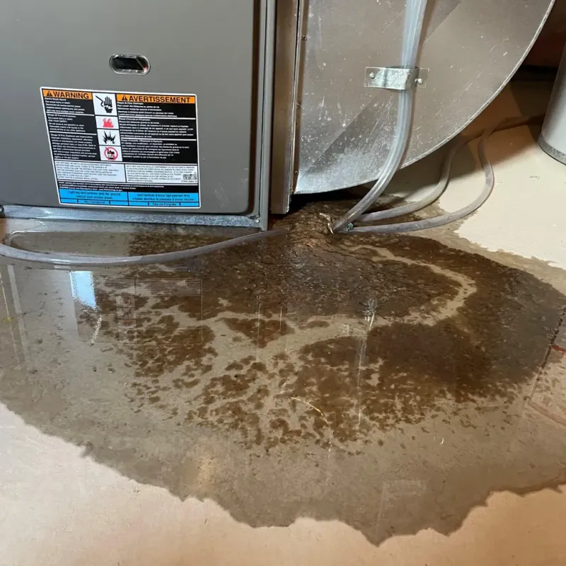 Appliance Leak Cleanup in Lake Mohawk, OH